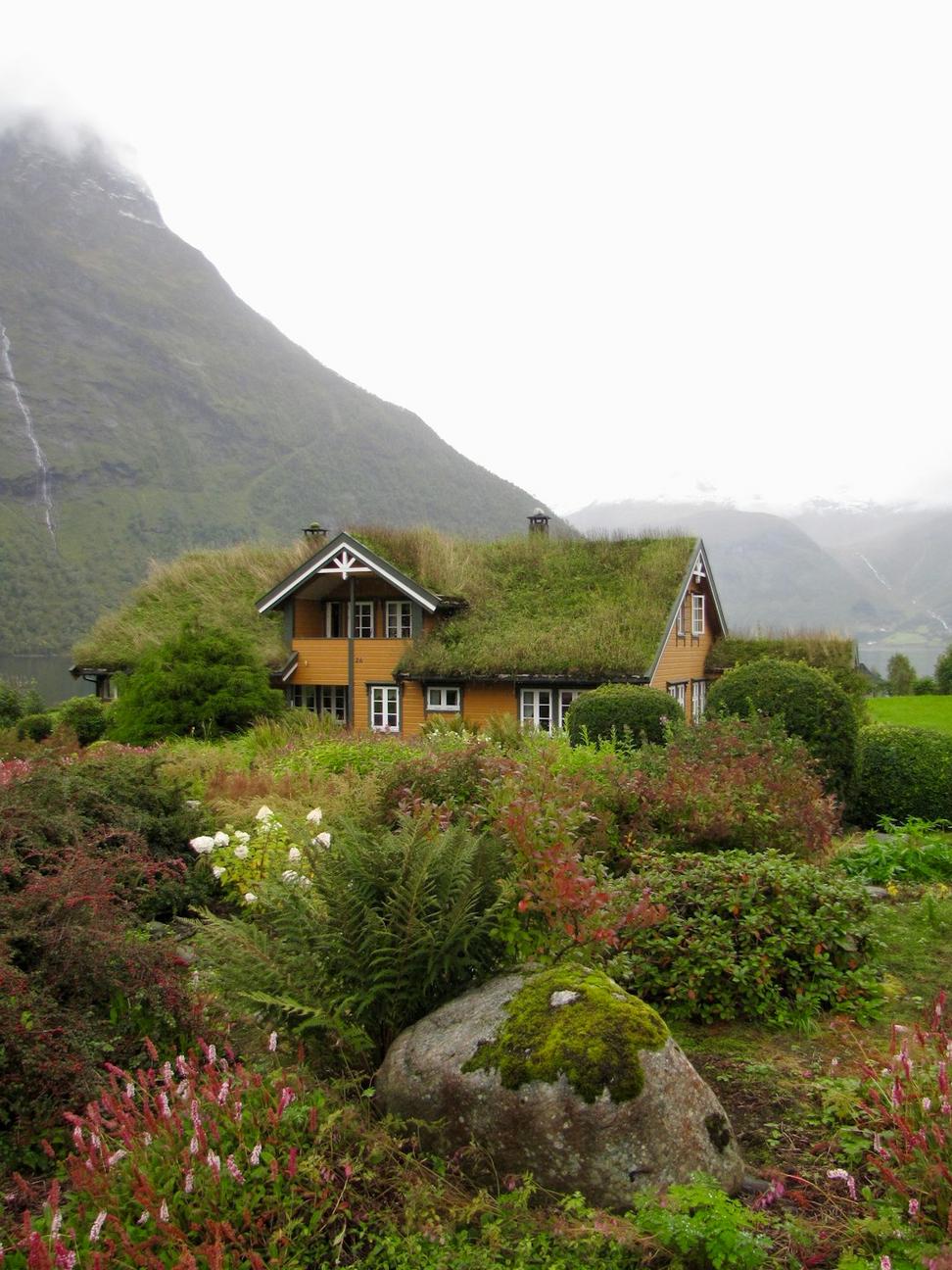 Green roof implementation