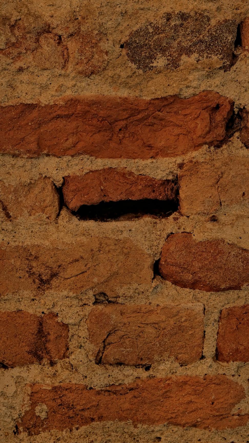 Project Detail